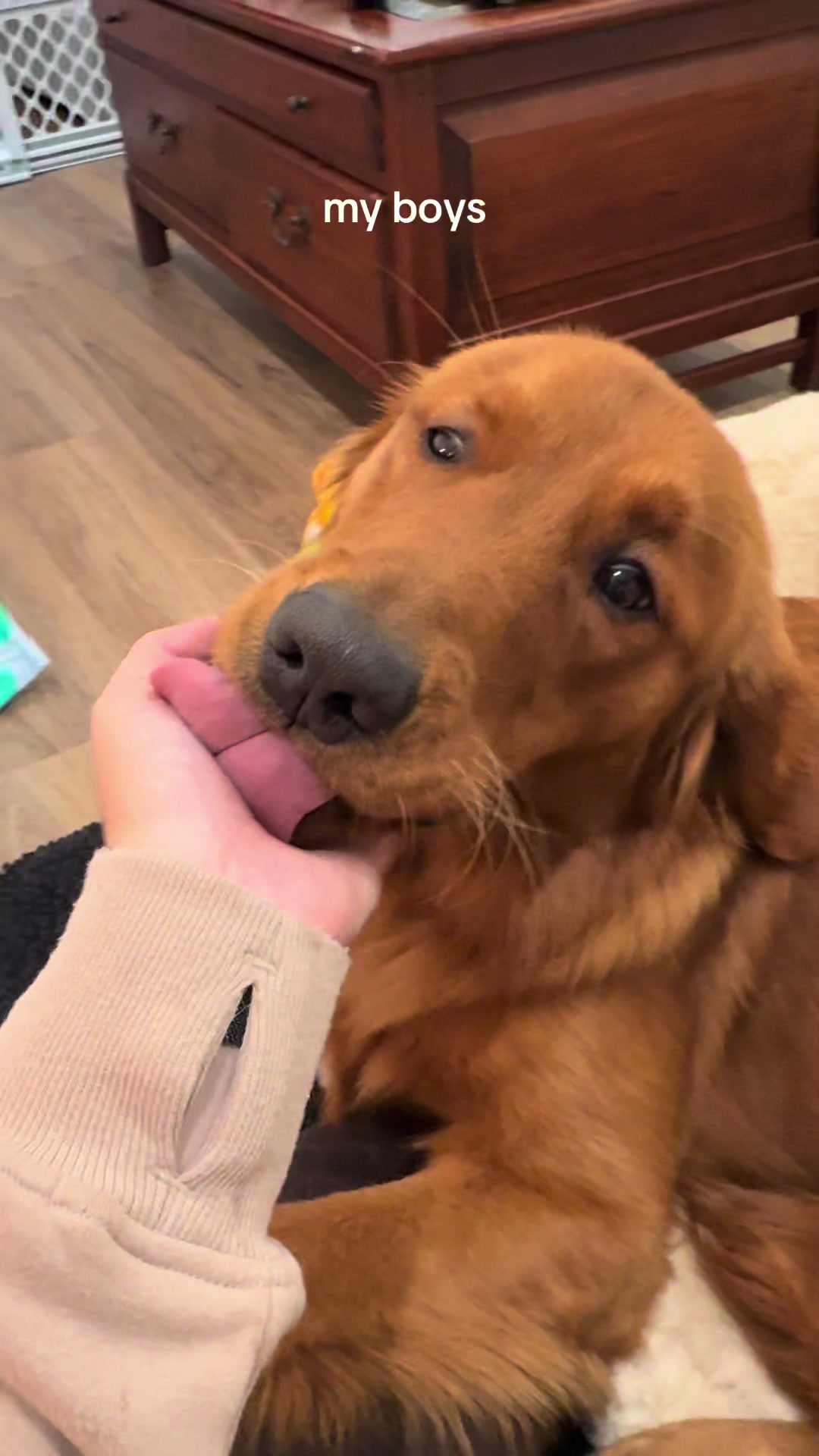 @Finn the Golden