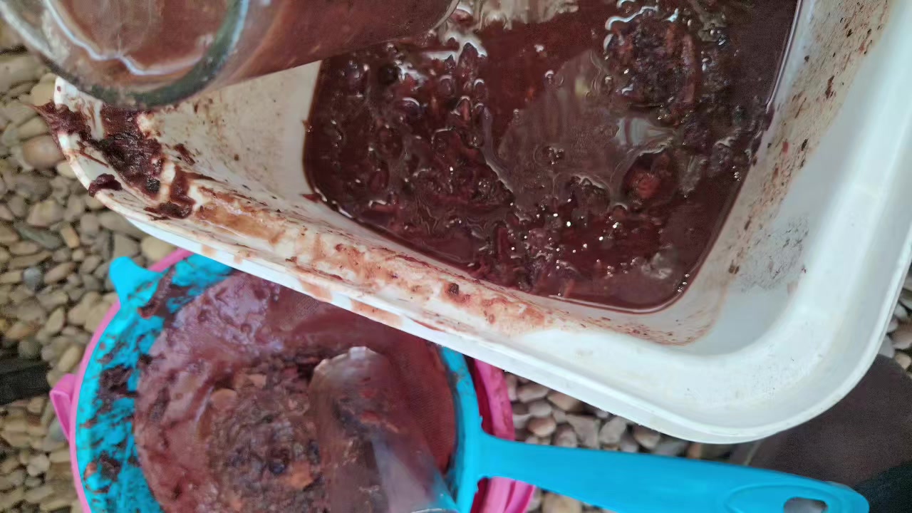 @صابر اللمبي
