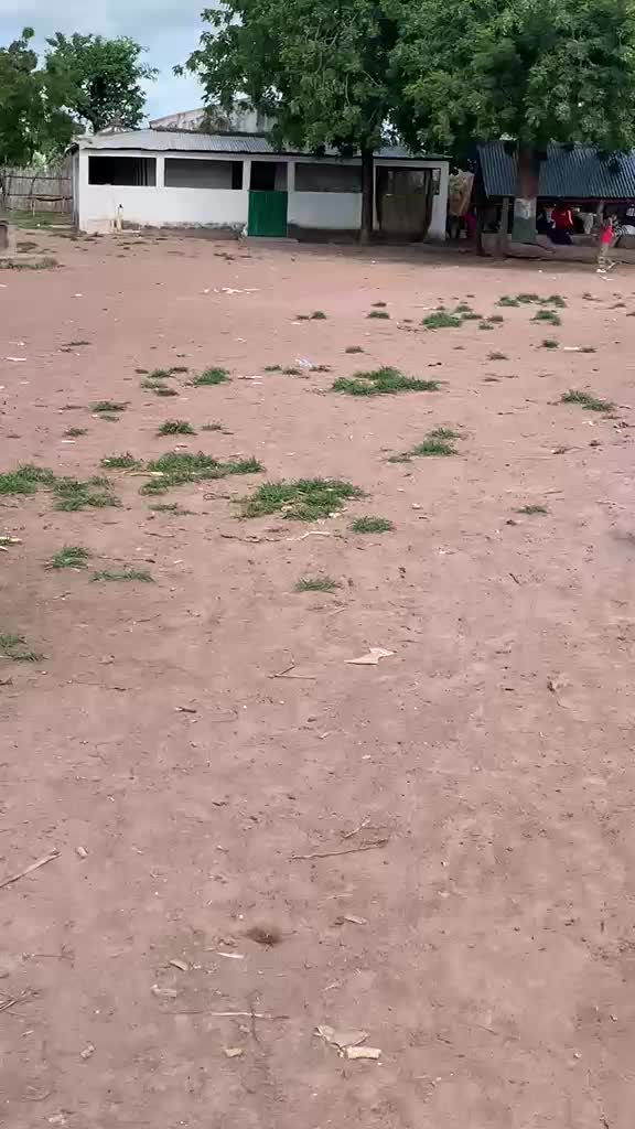 @Le Petit Agronome