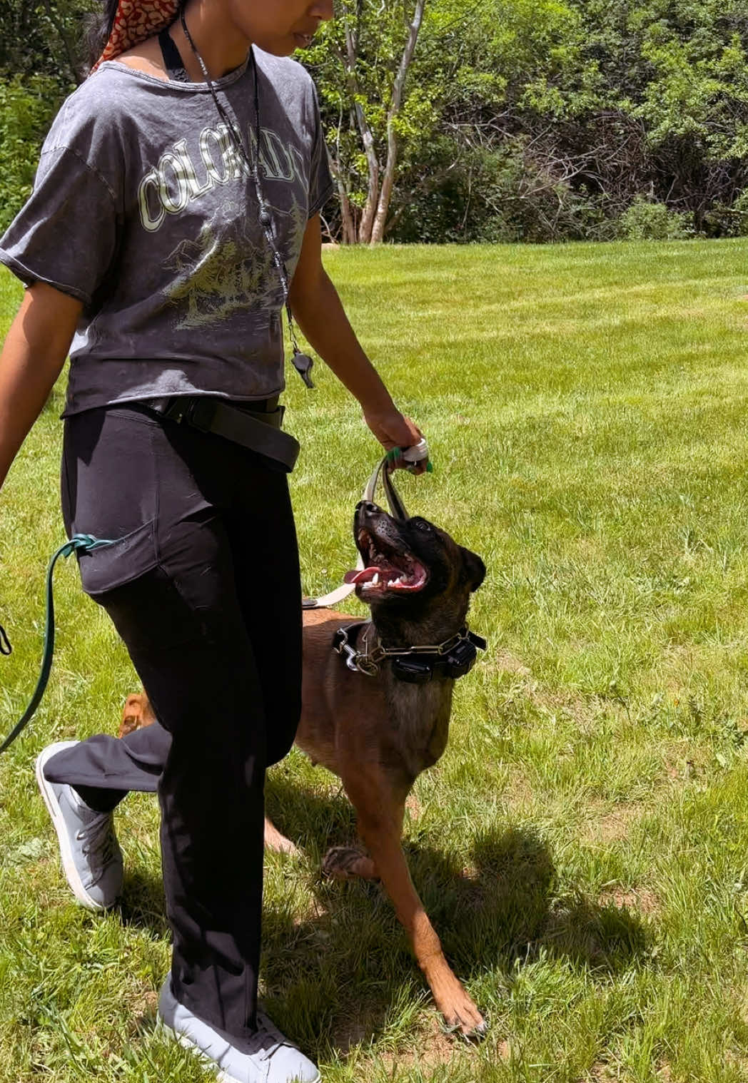 @dogstrainjen