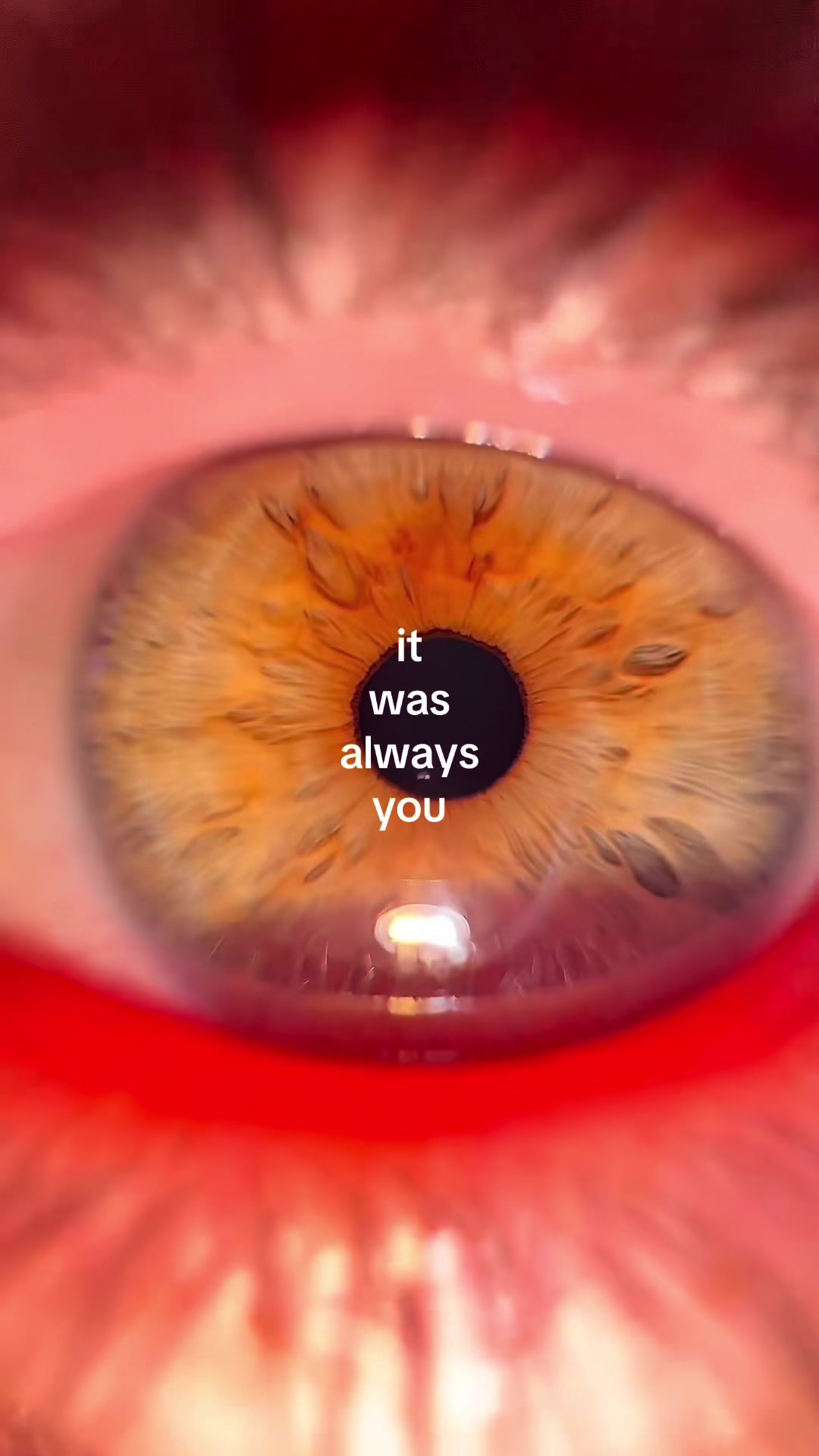 @minj