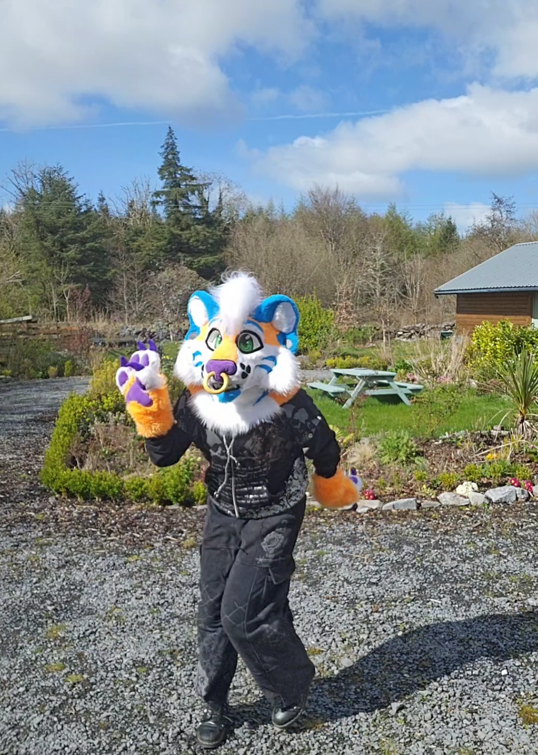 @cauldron.cat
