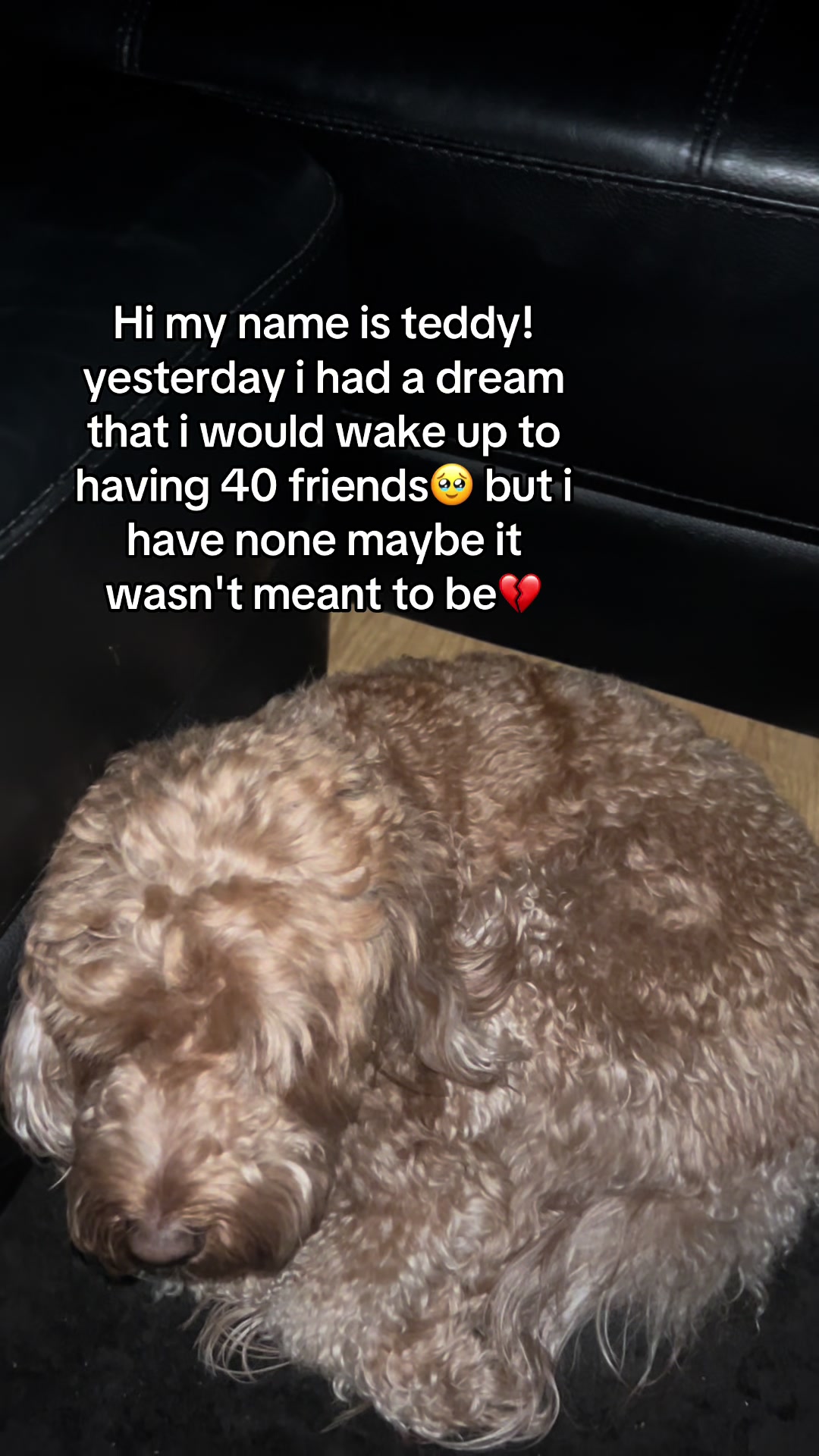 @Jojosfindzz