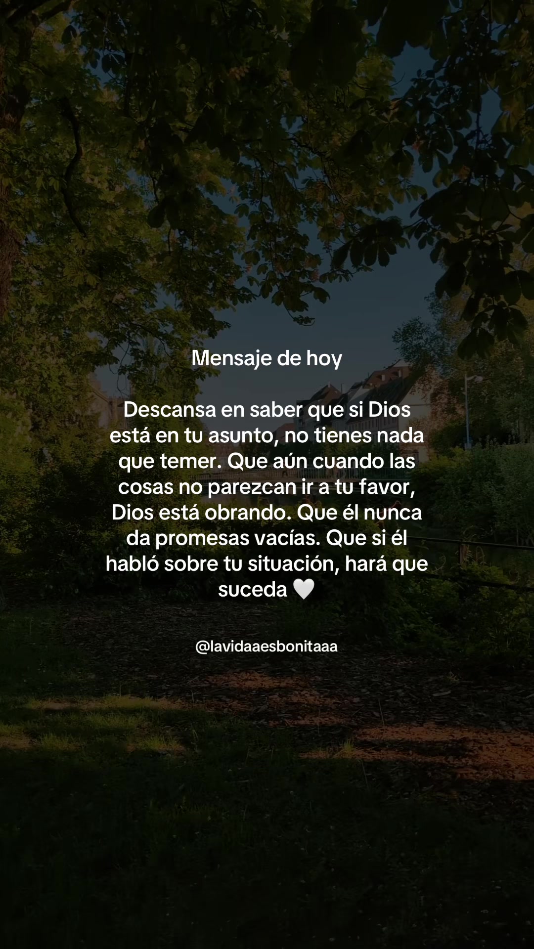 @vidabonita❤️🩹