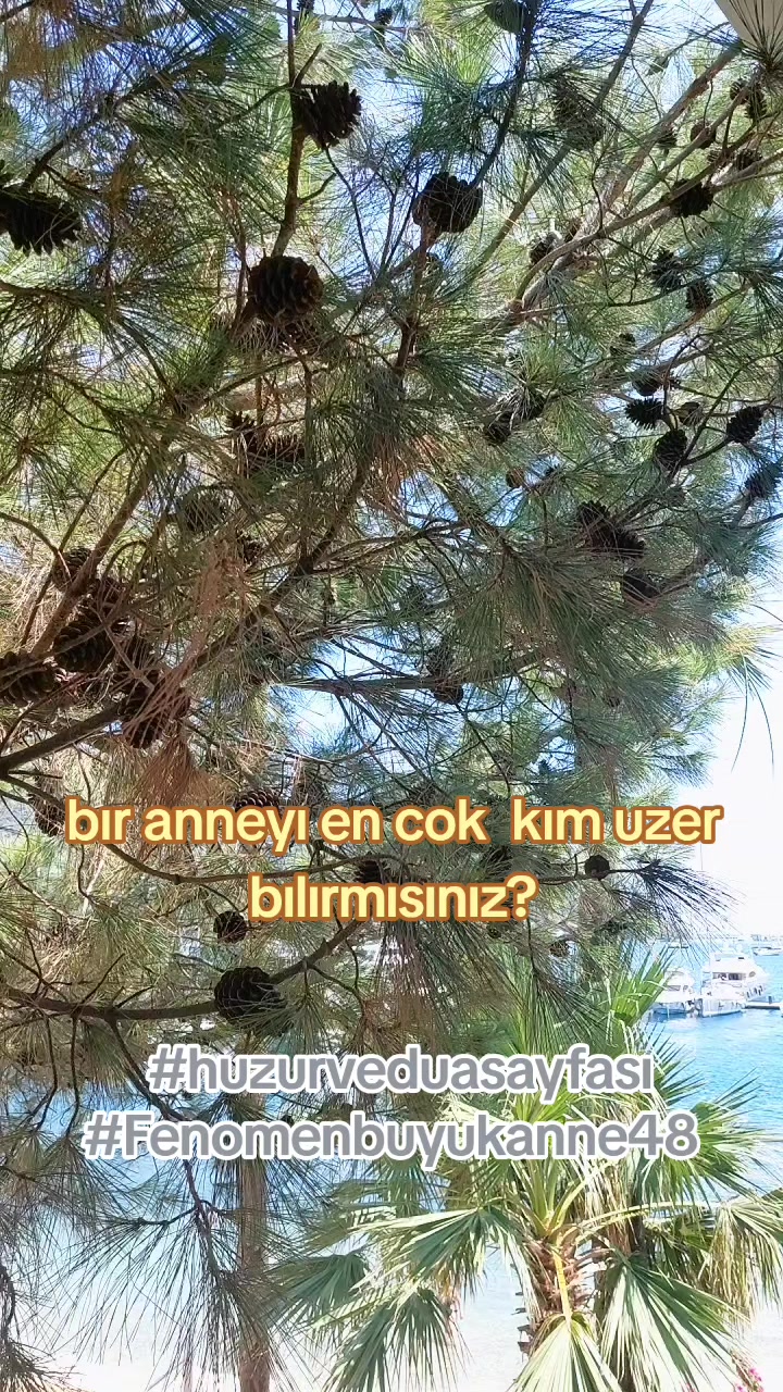 @Fenomenbuyukanne48