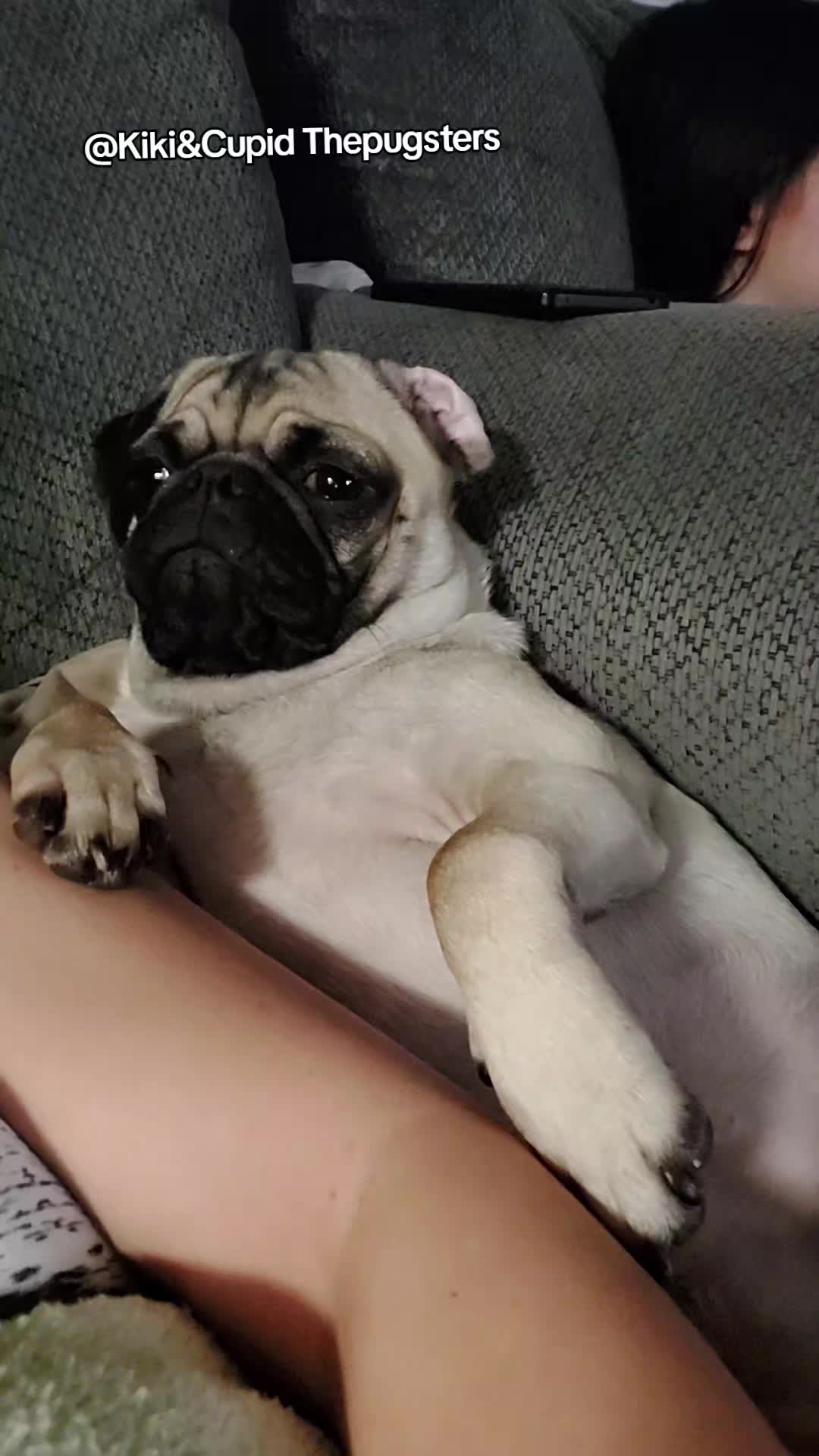 @Kiki&Cupid Thepugster