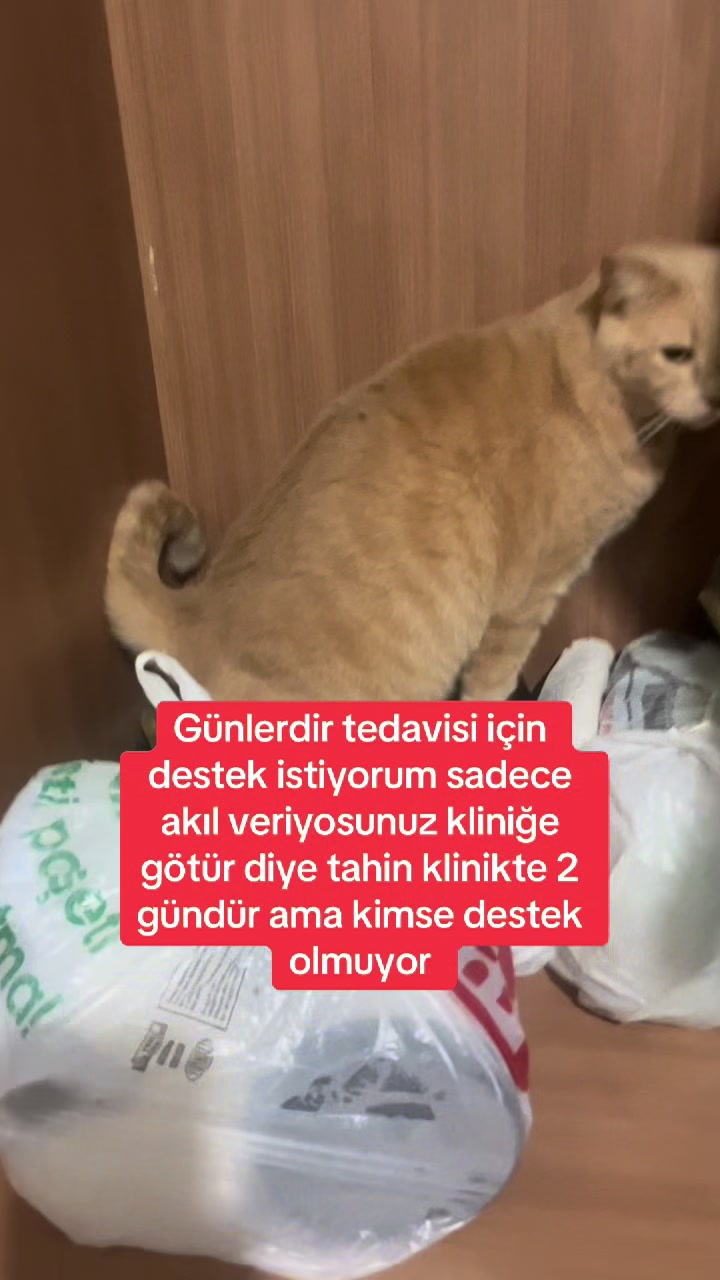 @Yesiminpatileri61