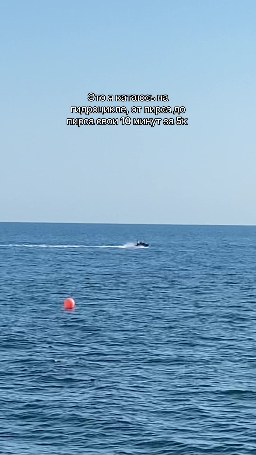 @фольксваген поля