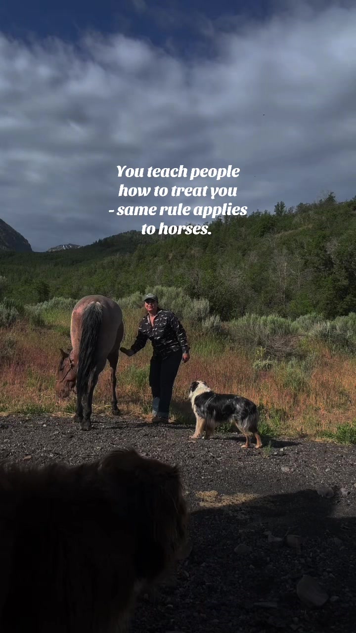 @wild.horsewoman