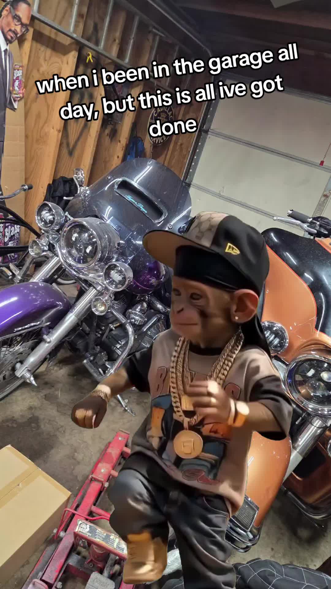@HawginNDawgin