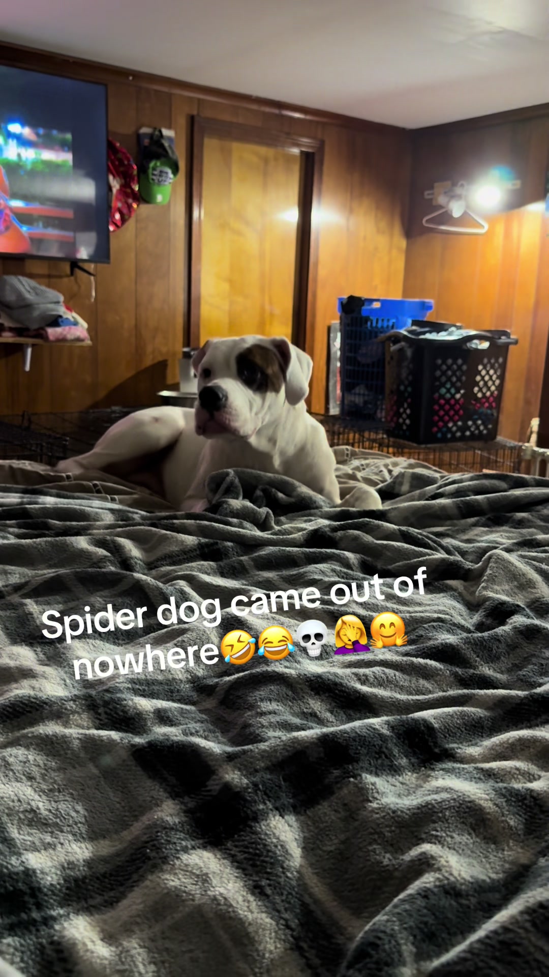 @brittanyannexoxo