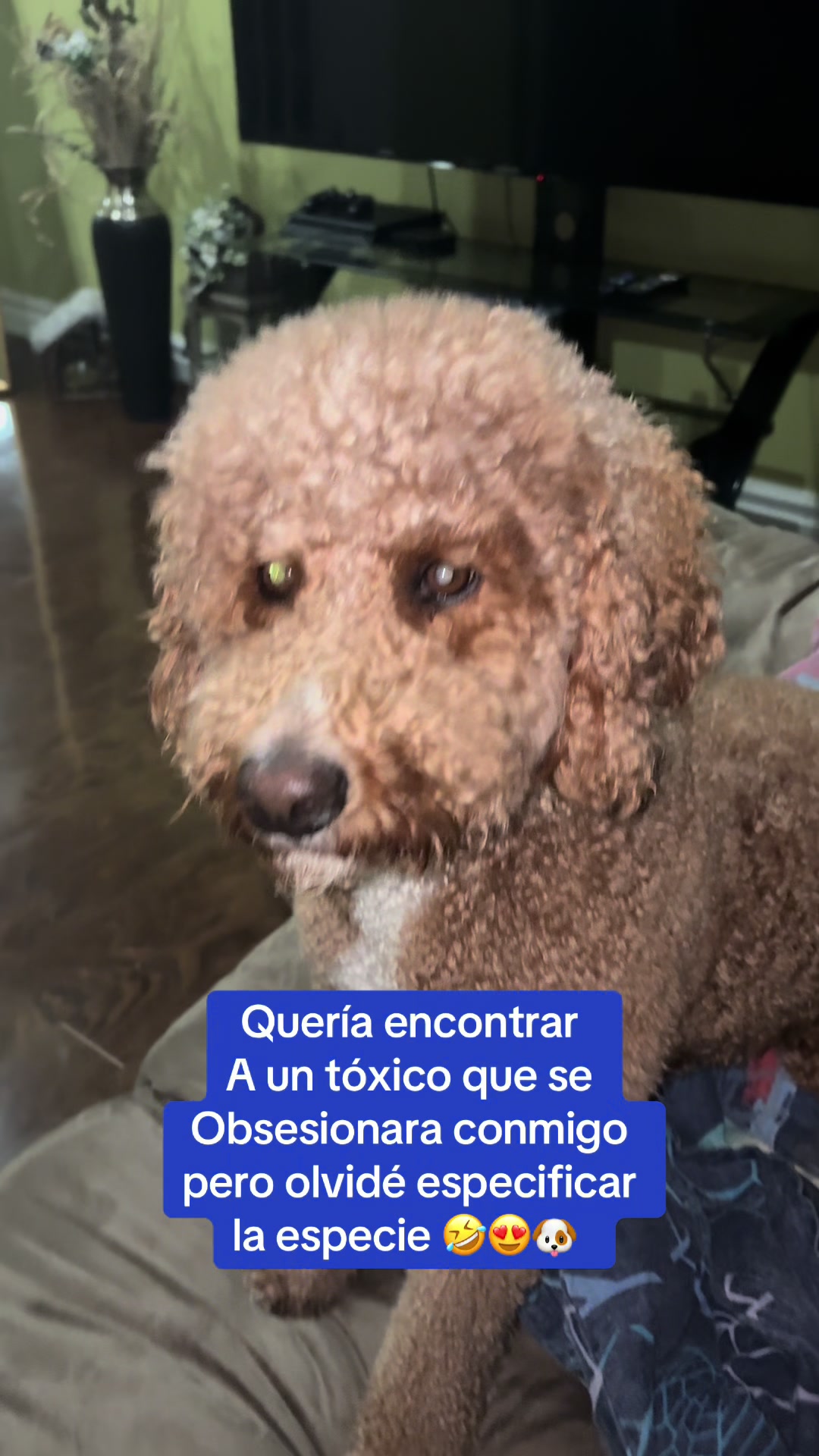 @Reyna y Churro 🐶😍
