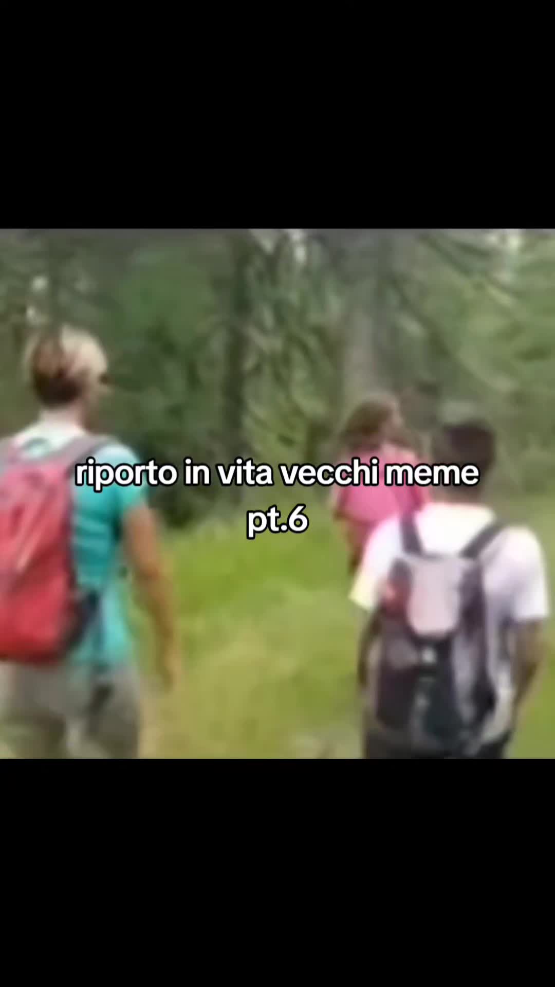 @TikTok_memeit
