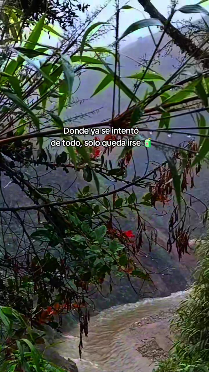 @❤️🩹🤤 Nätthy 💜❤️🔥