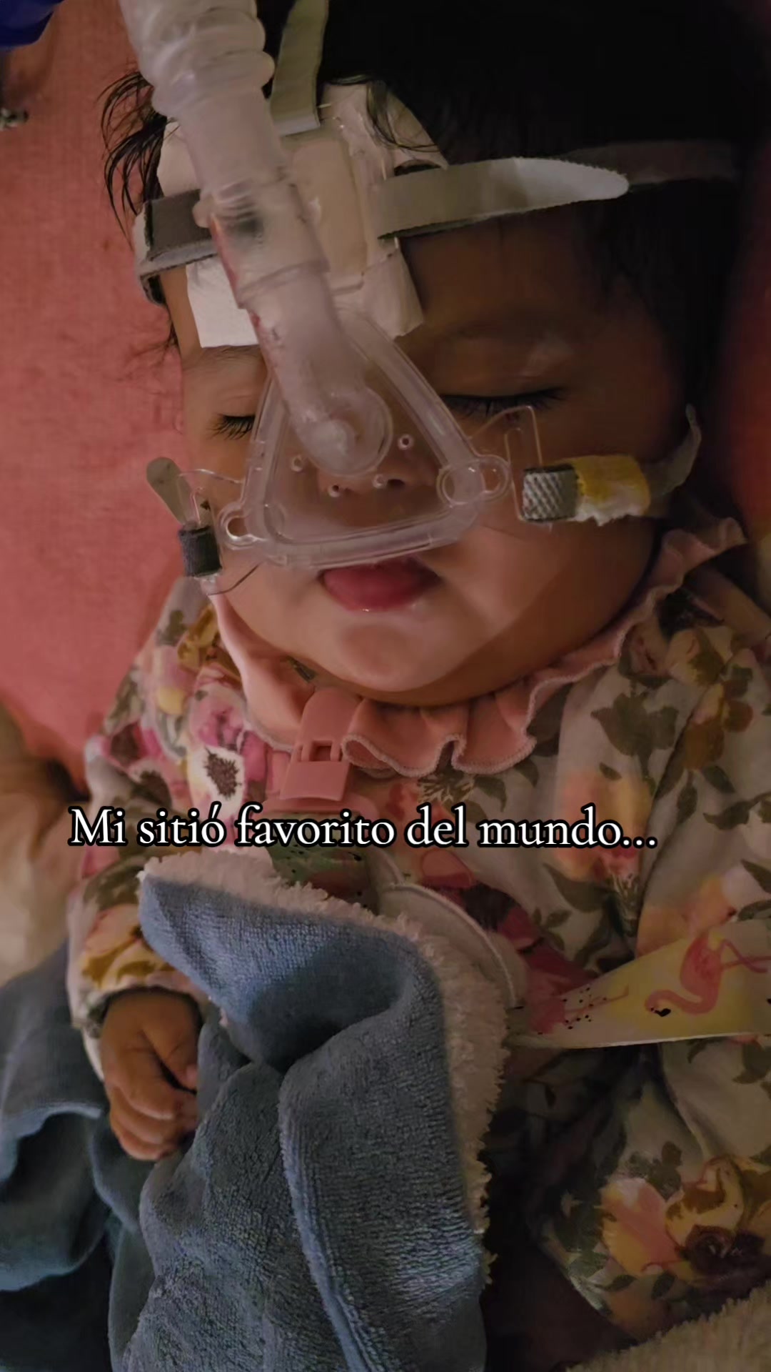@La vida de baby Luna