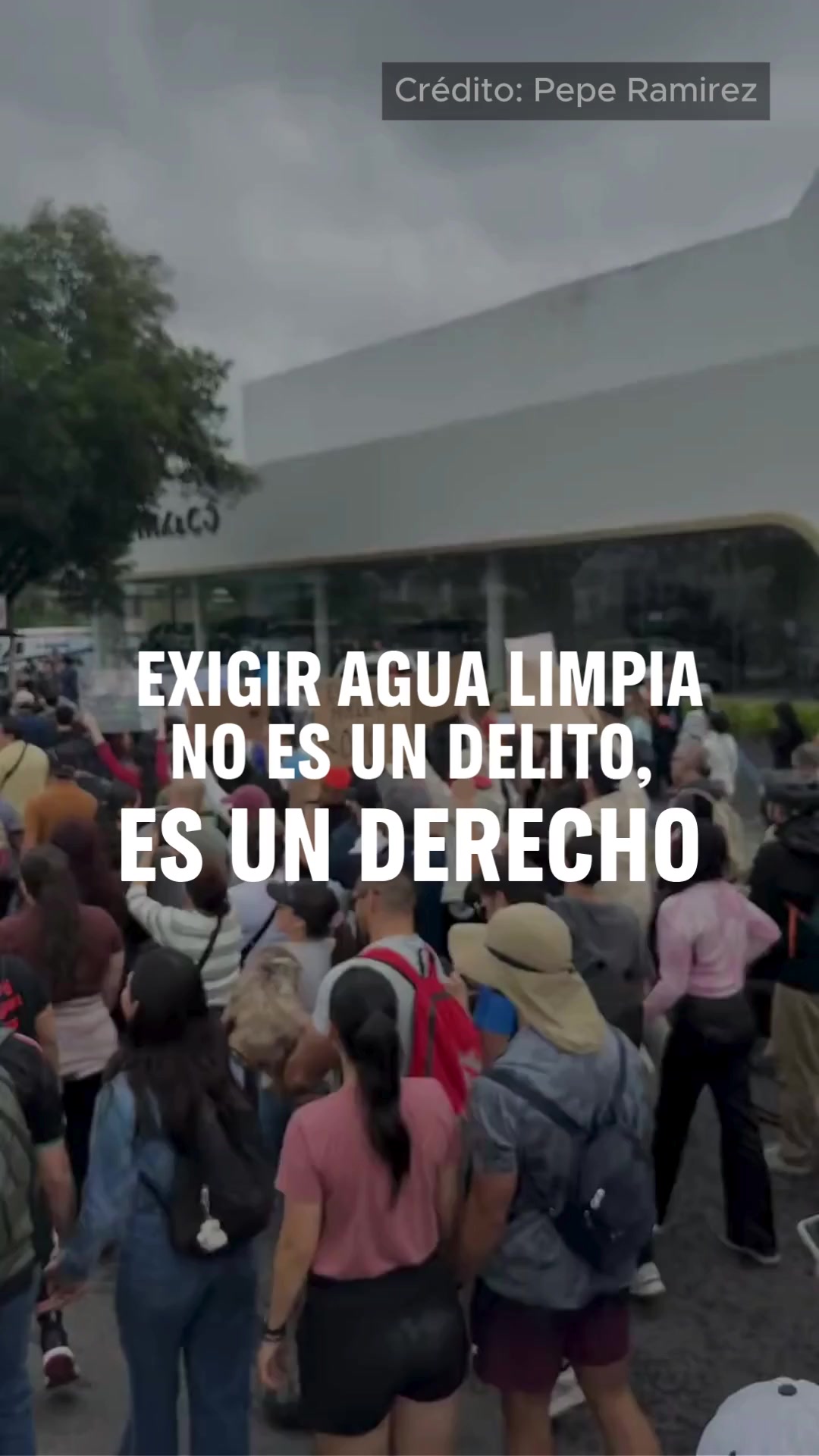 @Greenpeace M&eacute;xico