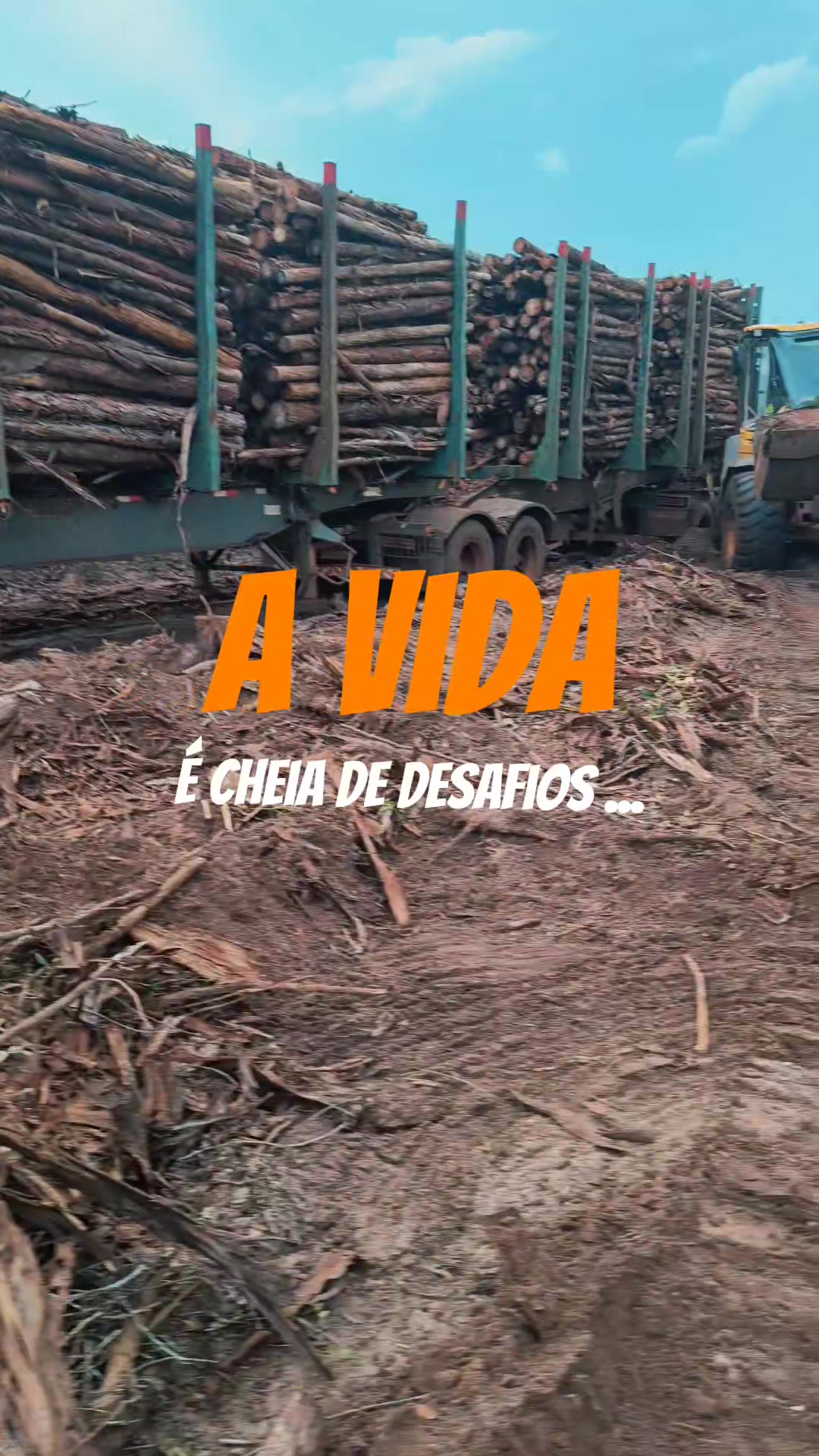 @Thales Almeida 🦾🌲