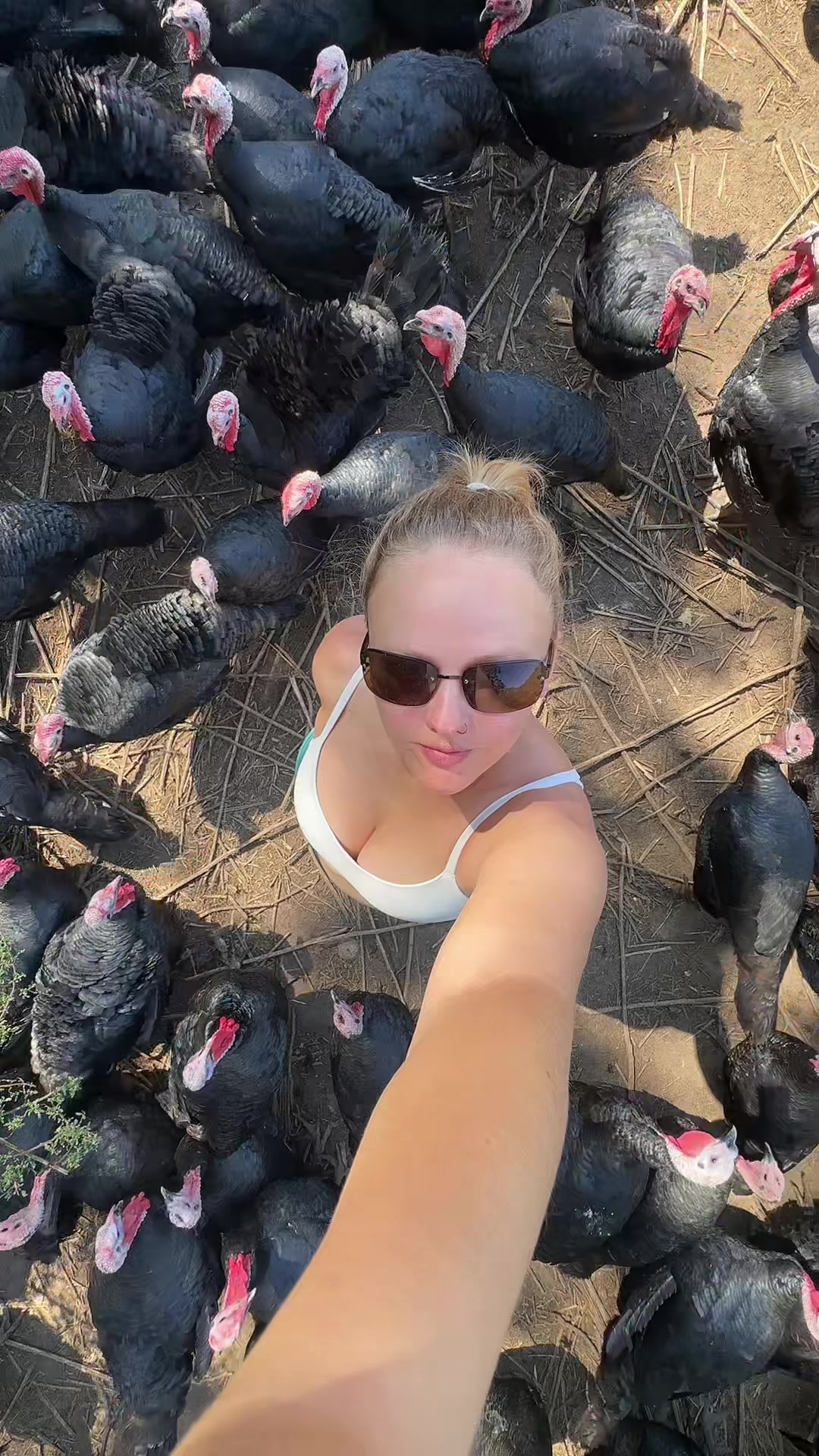 @farmerandtheharpiist