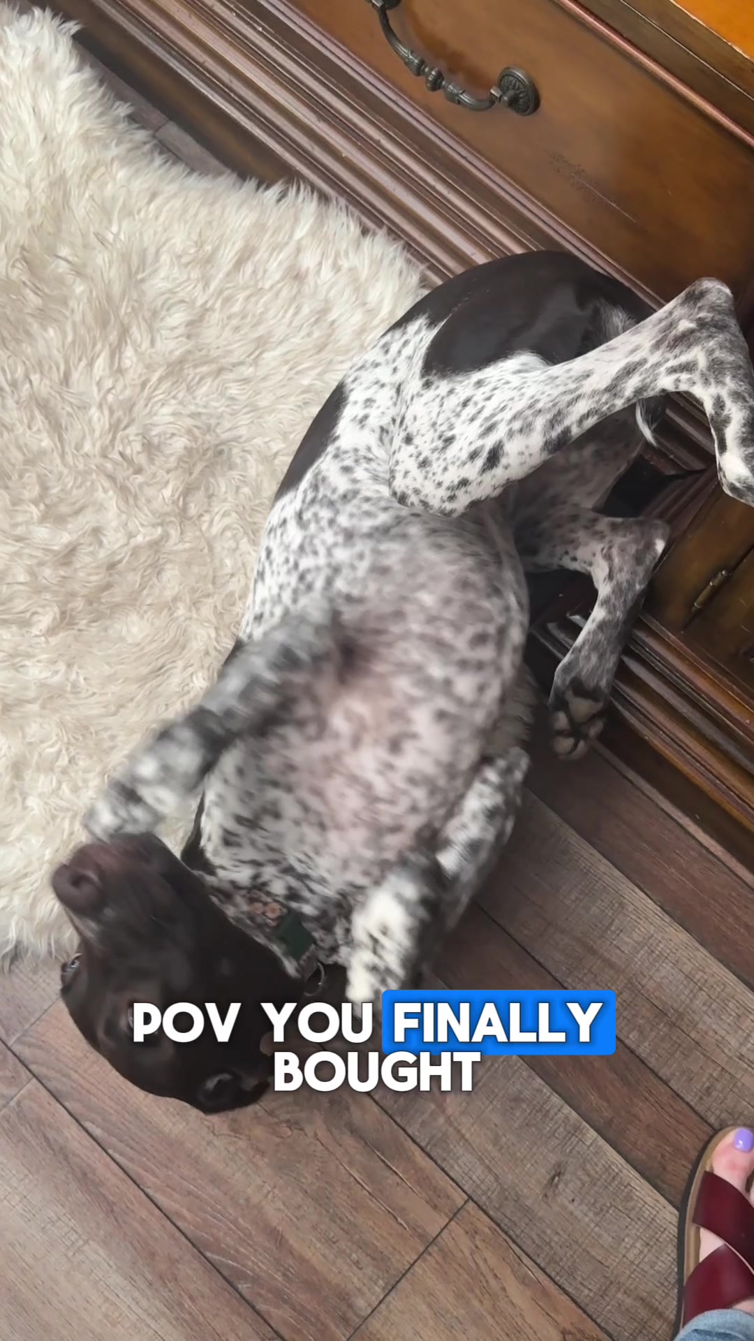 @kolletwharton