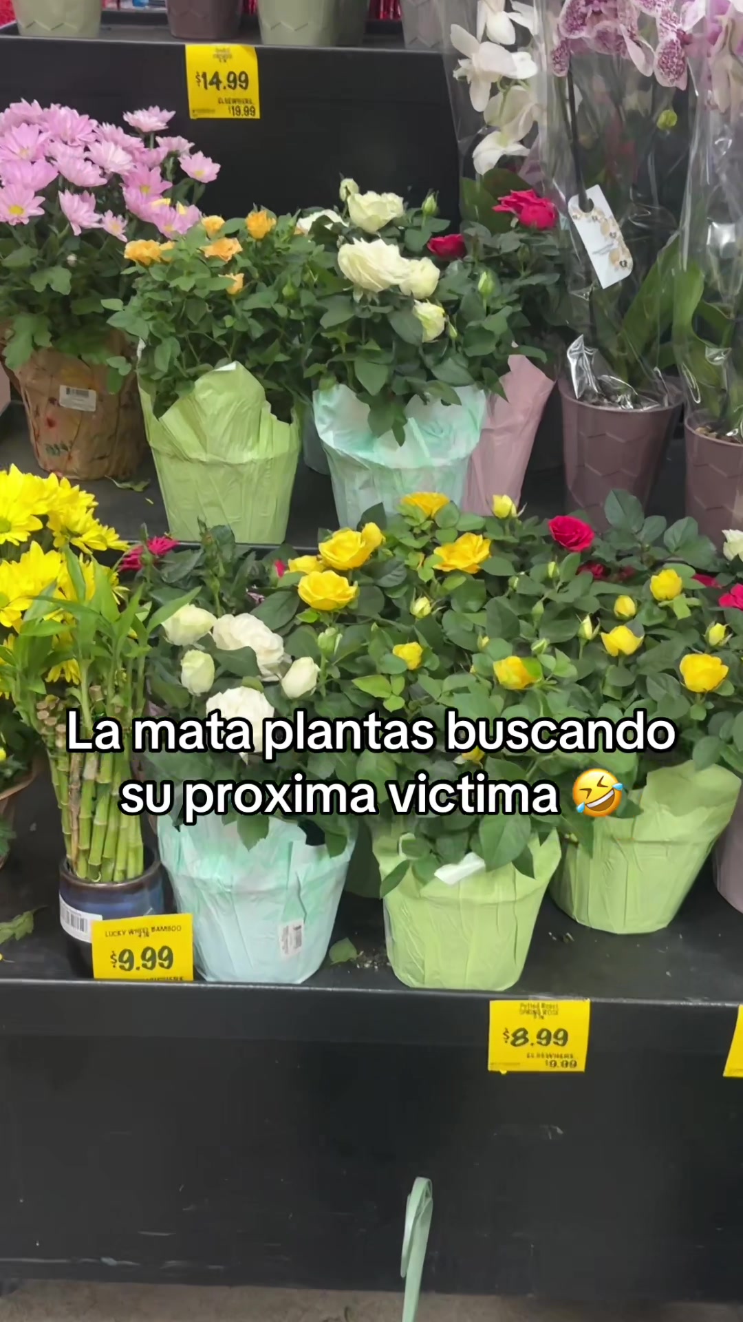@Palomasosa ๐๐๐ป๐ช๐๐ปโ๏ธ