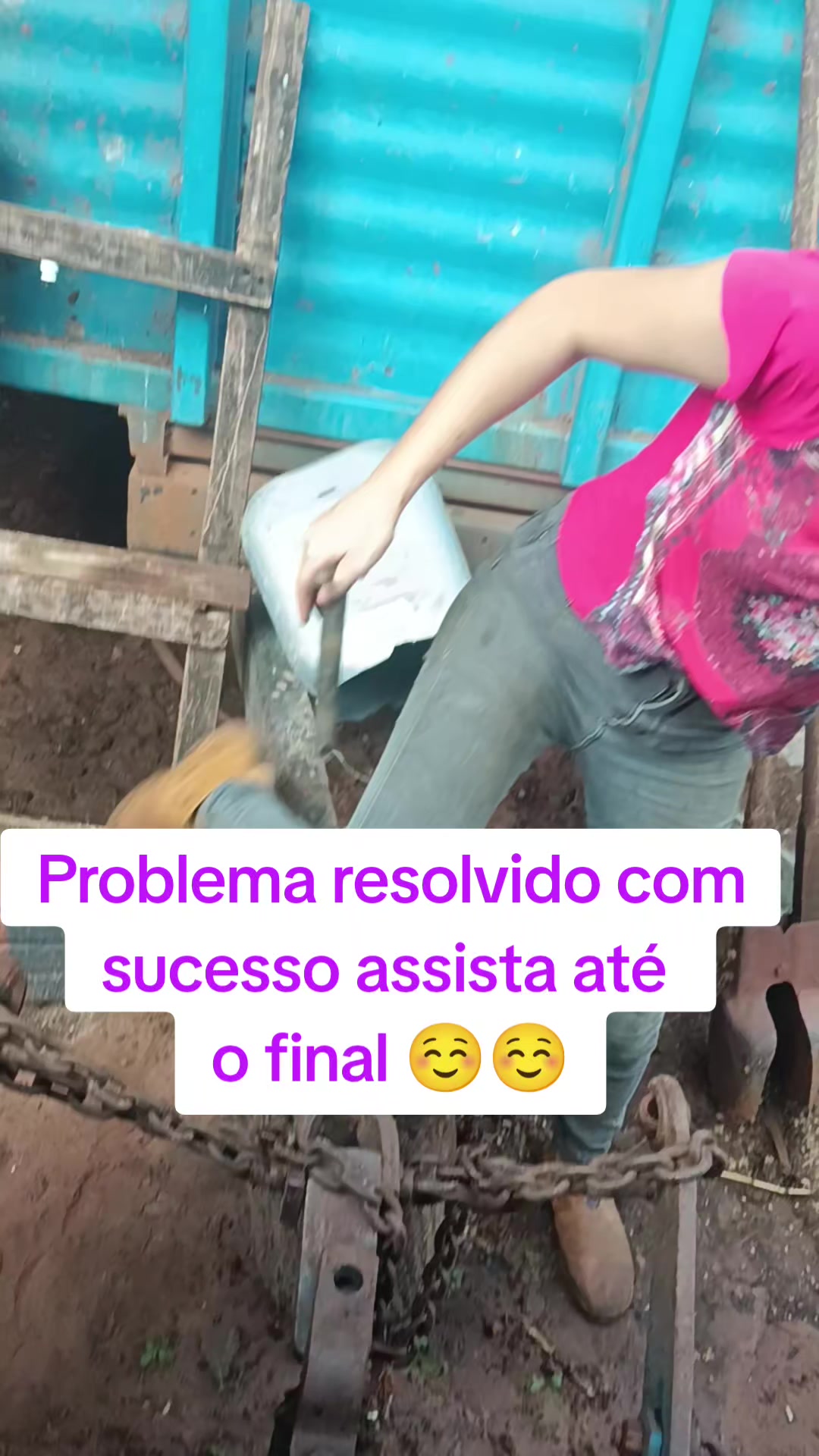 @Alexandre Basilio