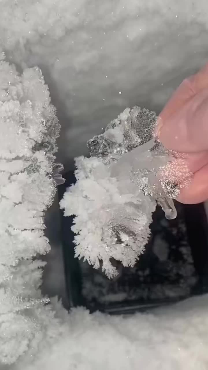 @ICEE🩷