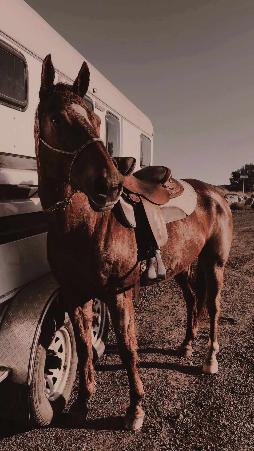 @Stable Connection