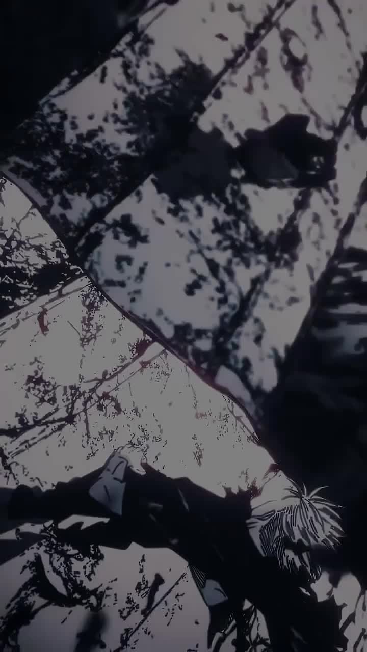 @VXRSE
