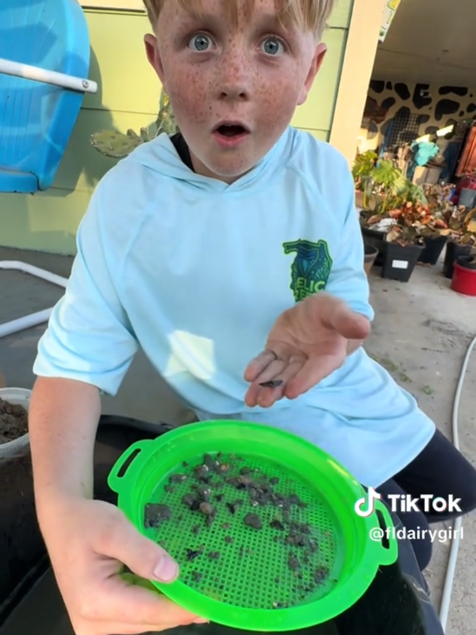 @RelicReef