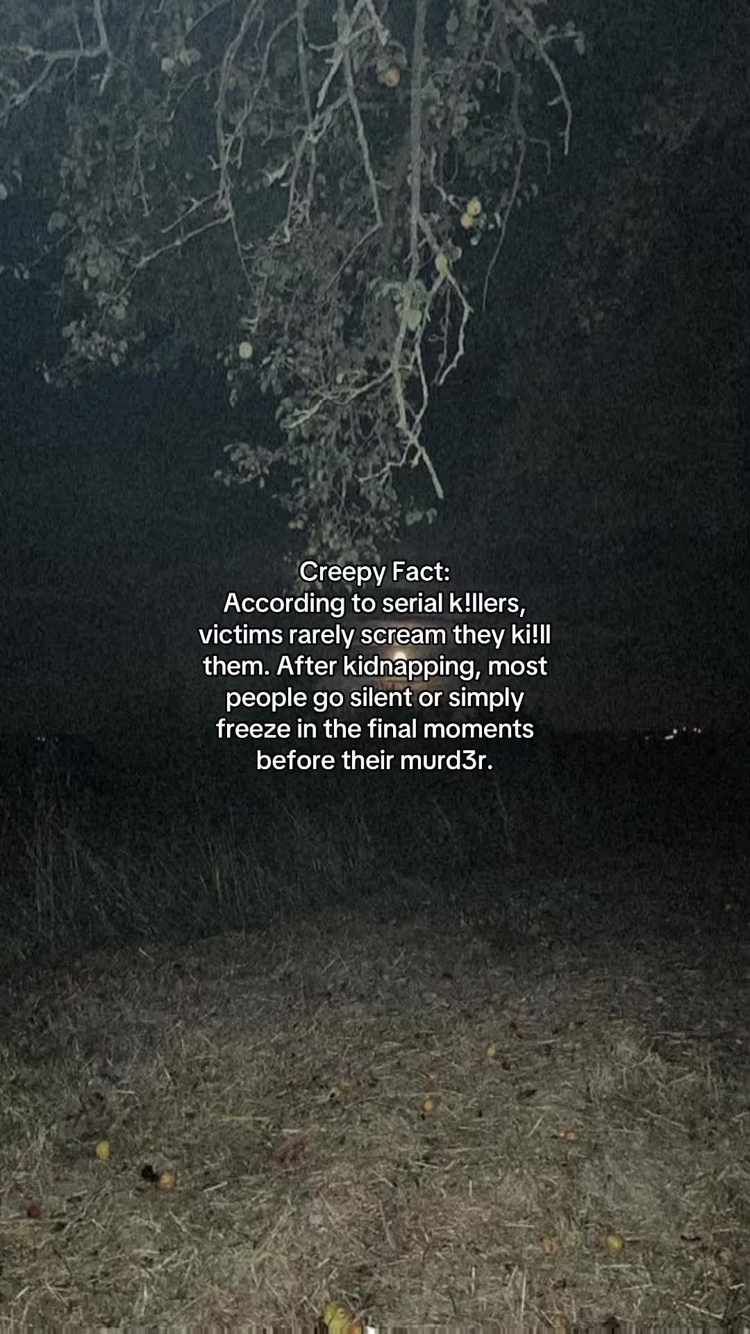 @Stories_AfterDark