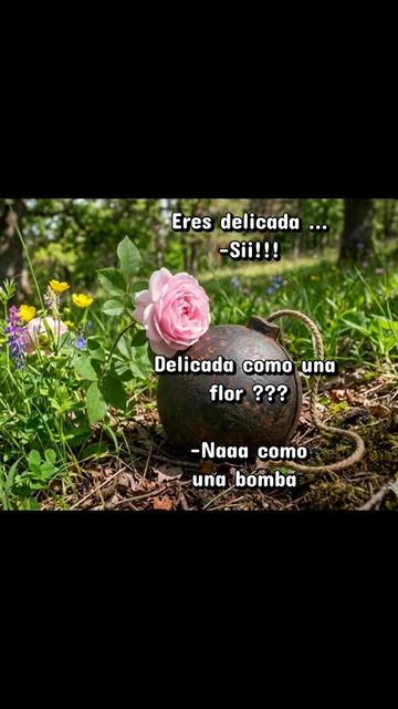 @🪸latinablog