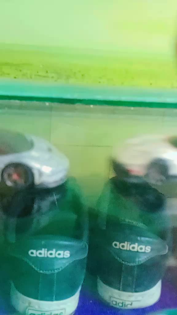@bimantara akbar