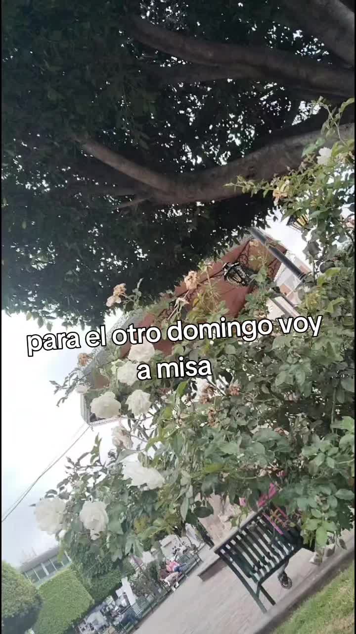 @erika alvarez