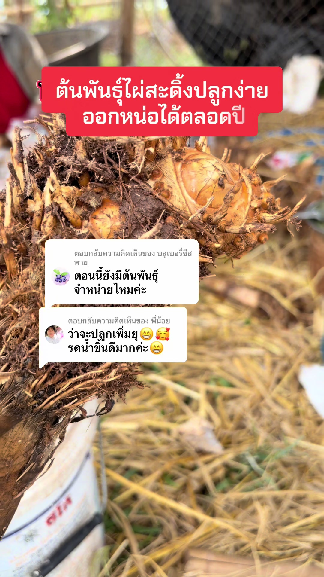 @นัดดาชอป
