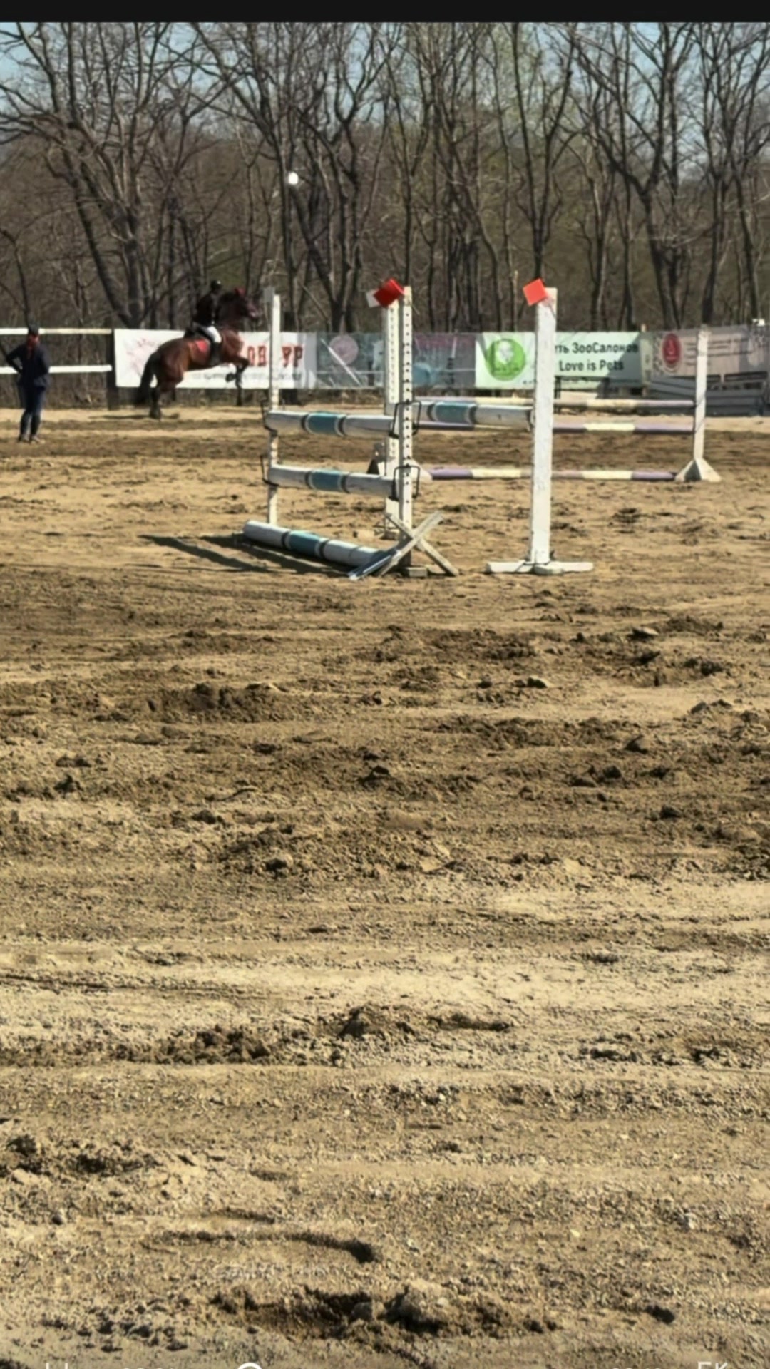 @🐴🤎