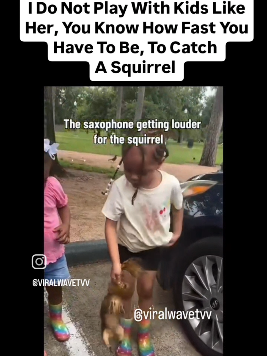 @viralwavetv