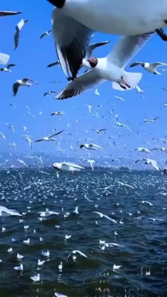 @nefretimsin dünya