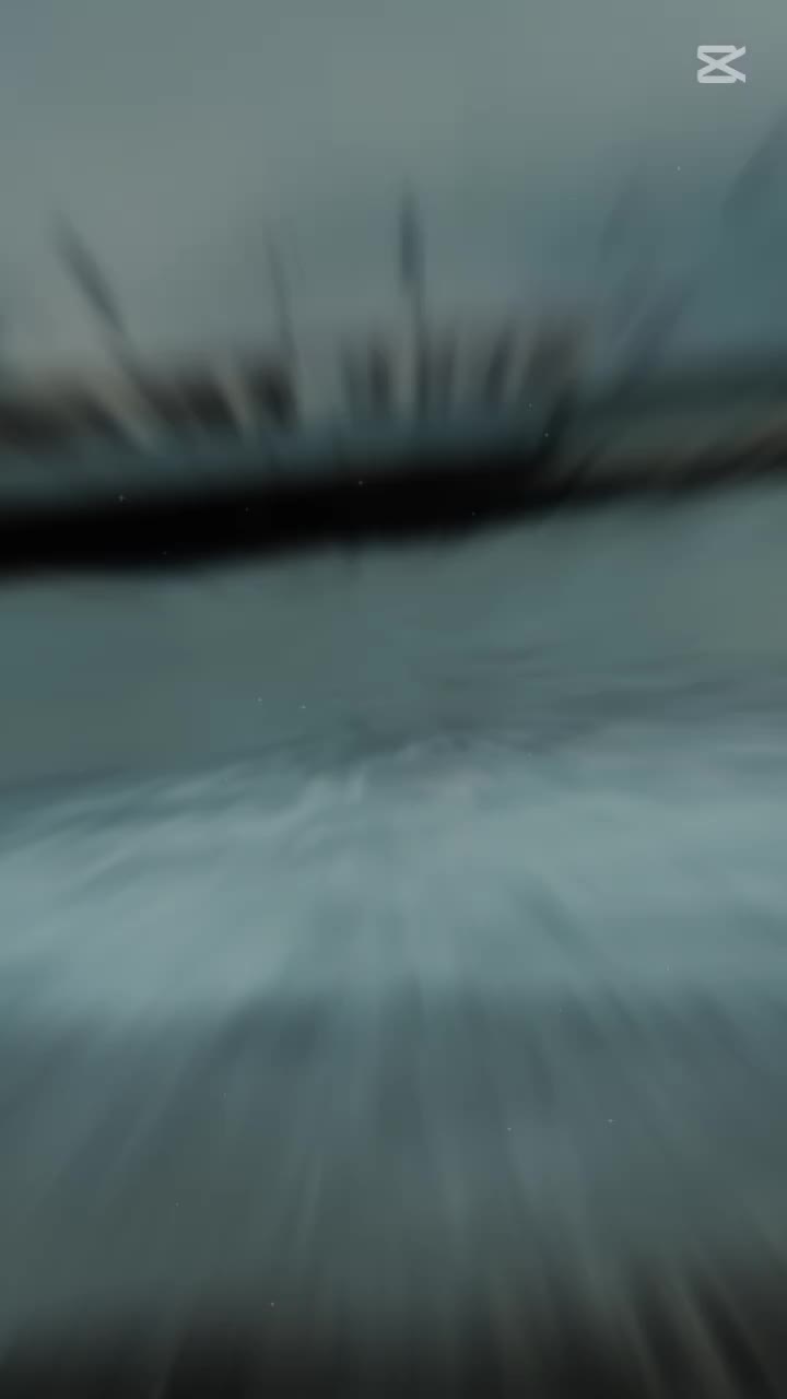 @A⊶F⊶R⊶I⊶D⊶I⊶ 333