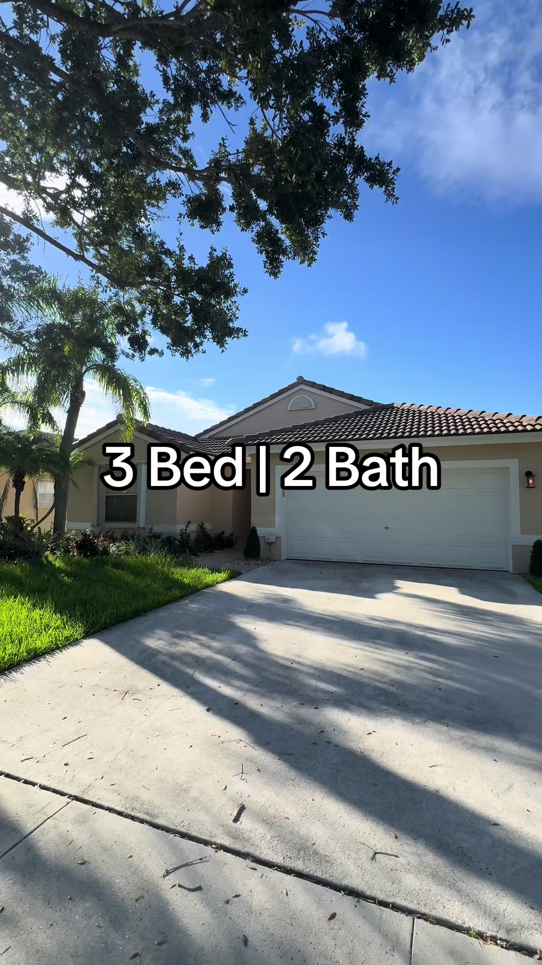 @Rasheeda Mohammed | Realtor