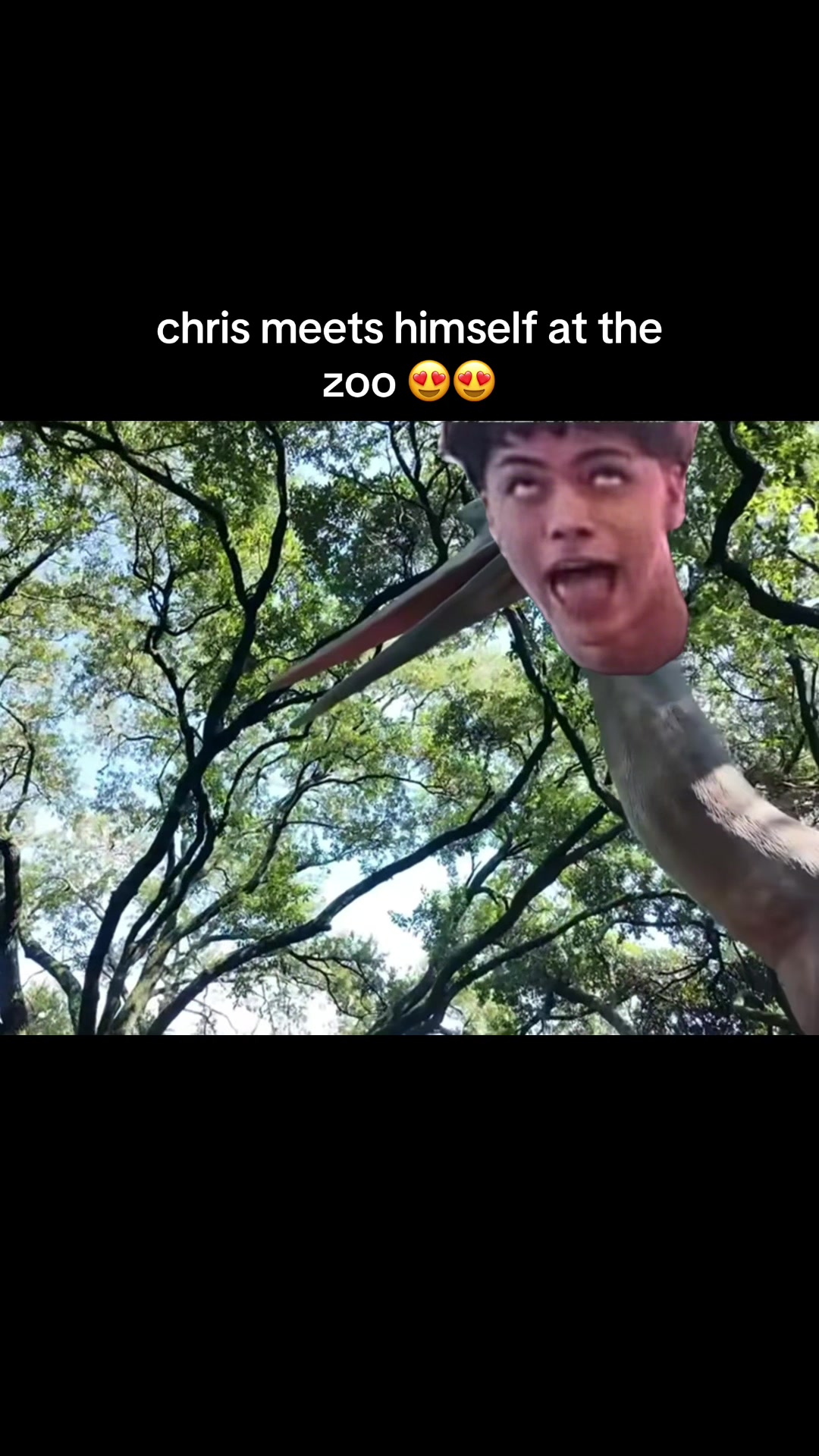 @birdcotter