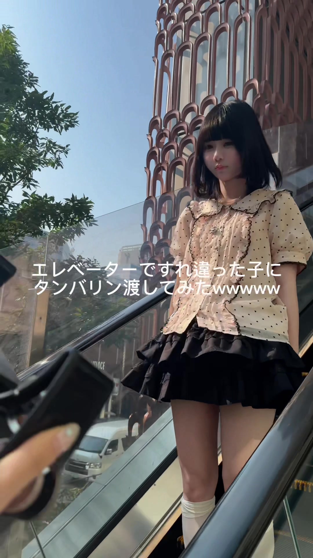 @瑚苓/これれ