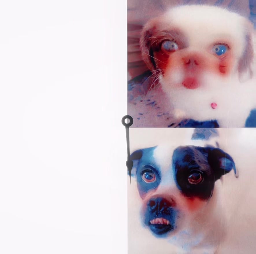 @๐ููุงุจ ุงูุดูุงุฑุน๐