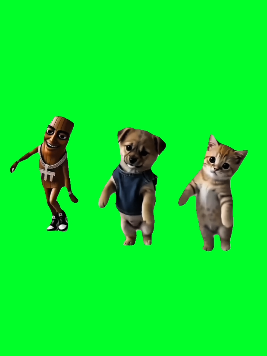 @TikTok Template