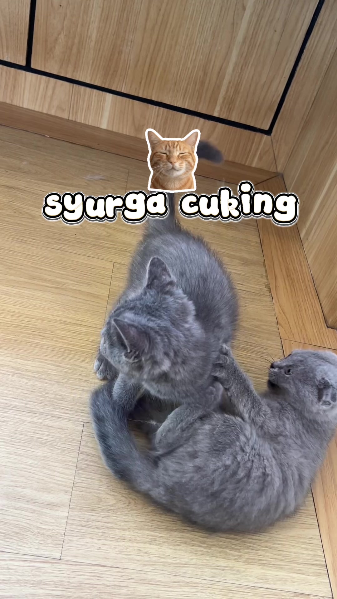 @sufabdurafi