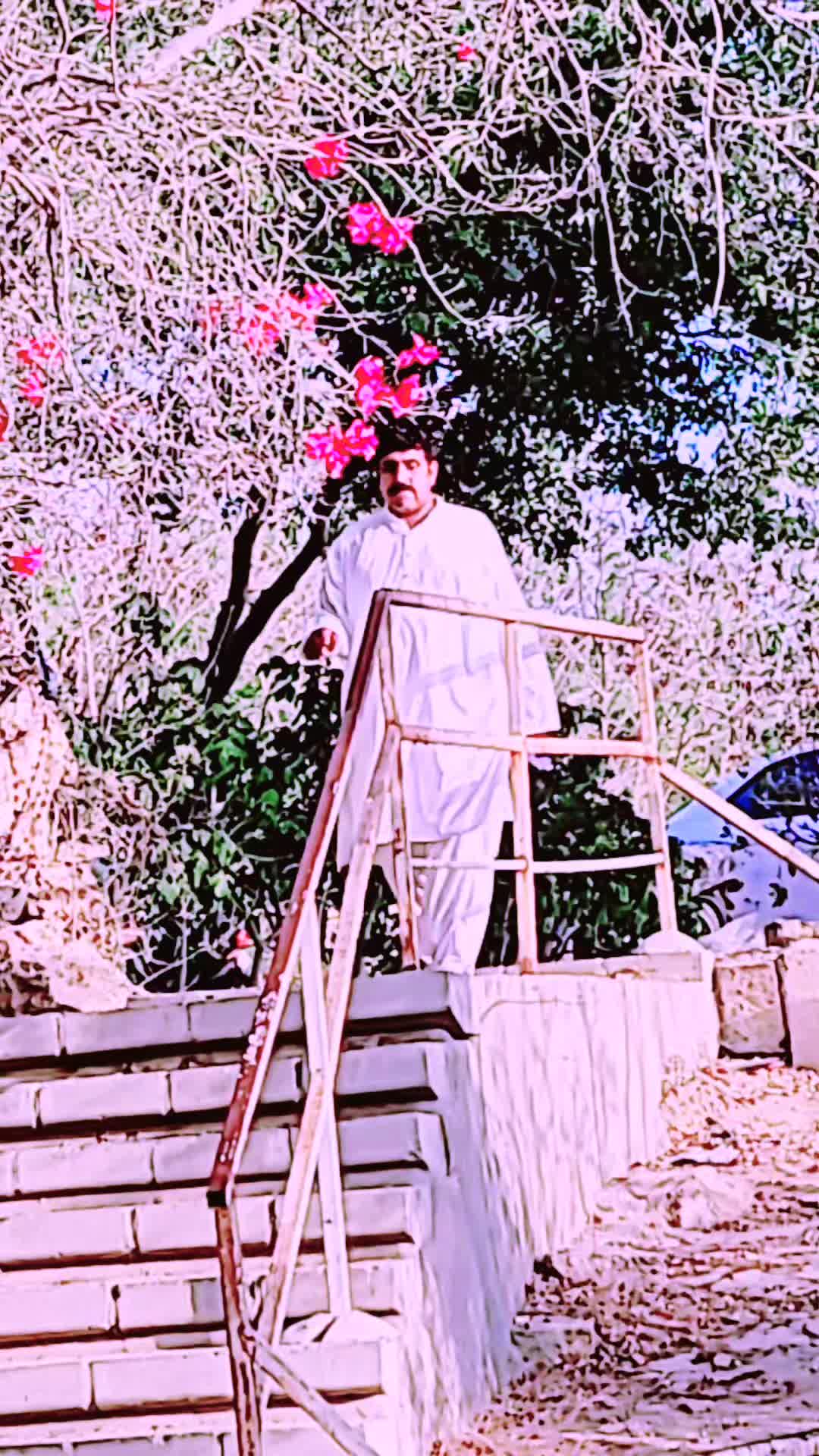 @shareef khan Orakzai