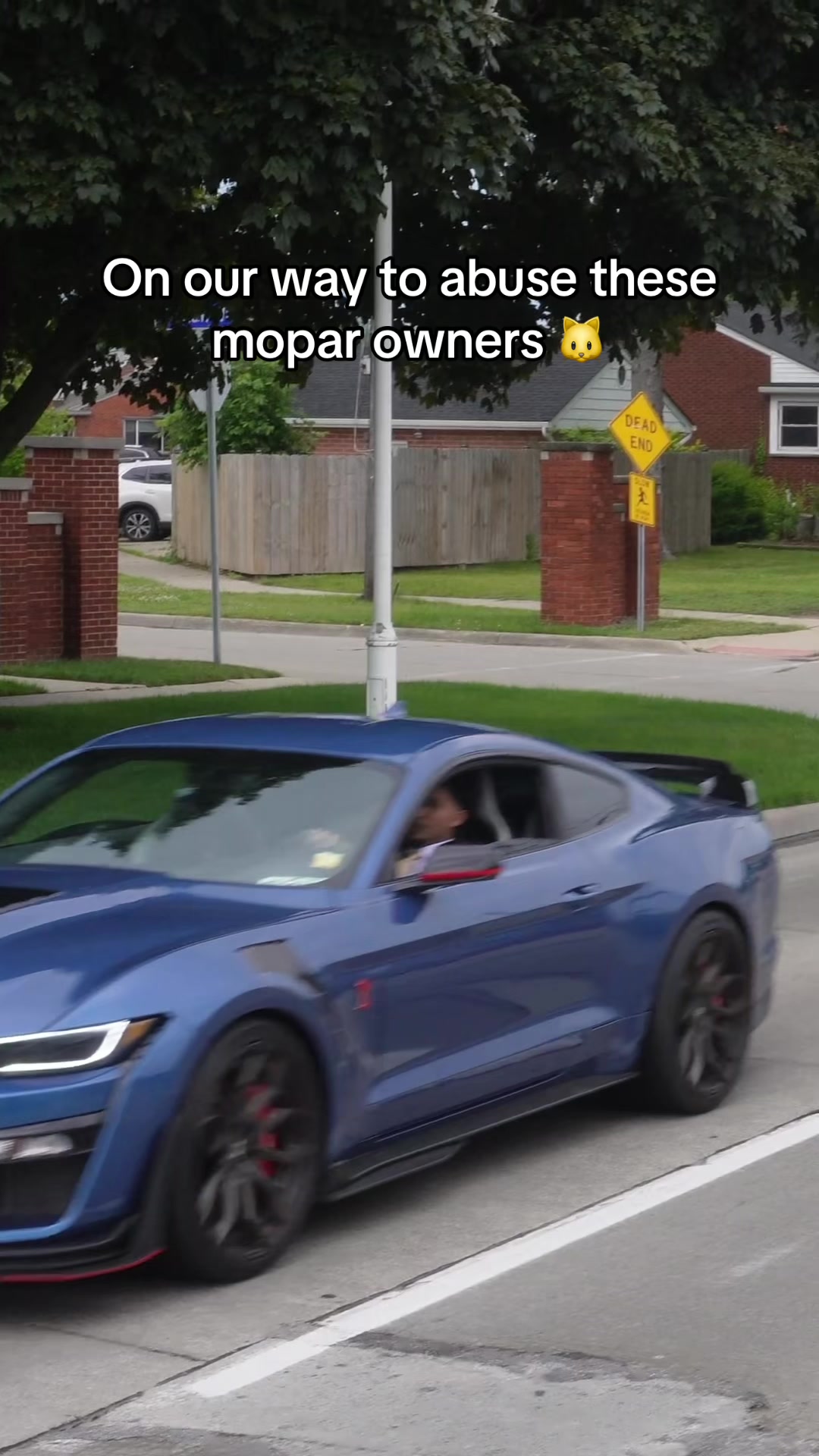 @Horizon Speed