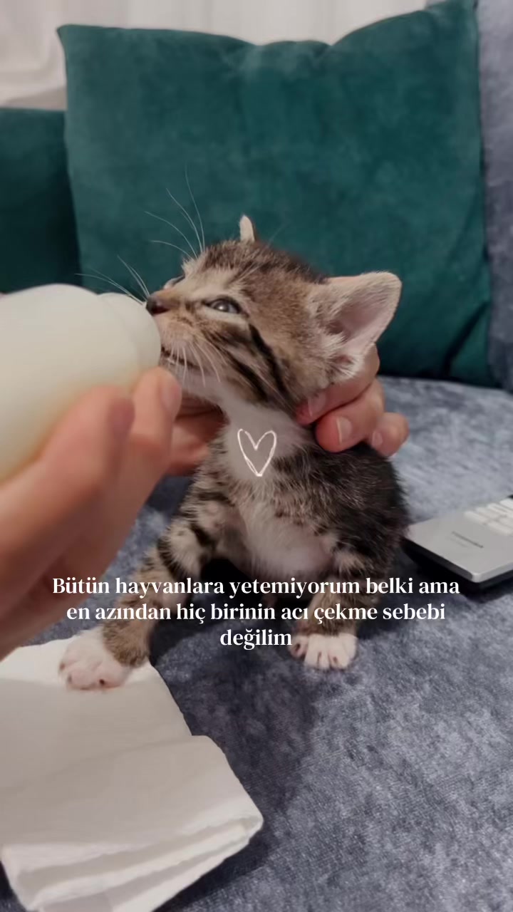 @irem mine🦋