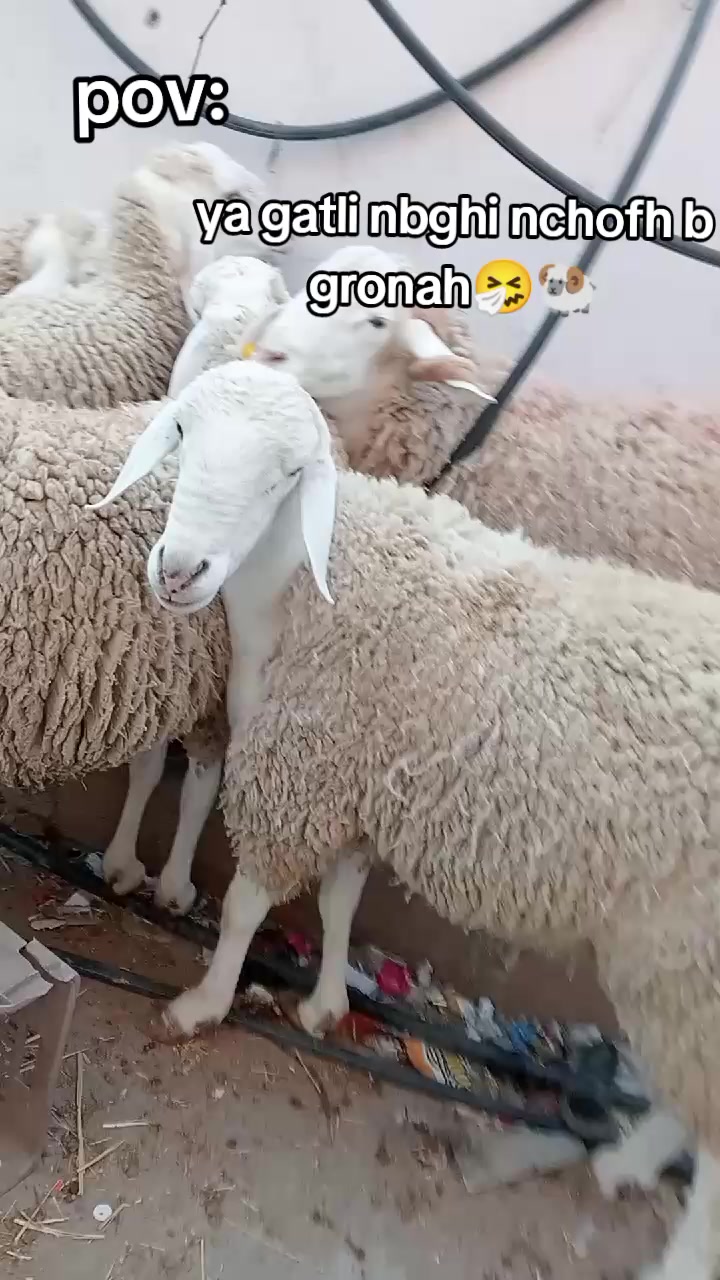 @19๐ฆ
๐ค