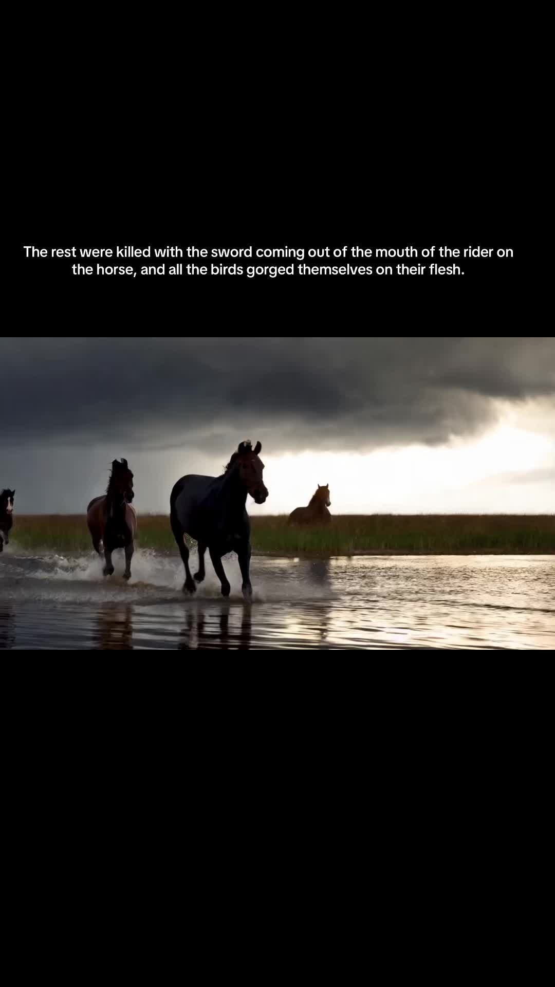 @Revelation and Horses