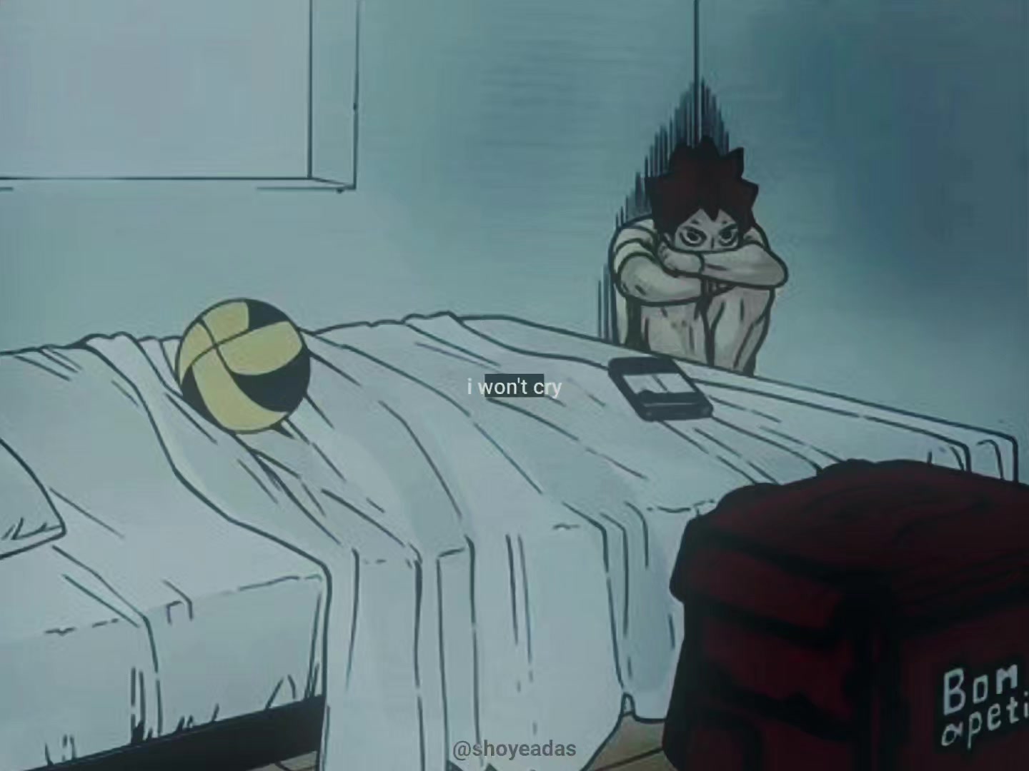 @oshi 🦭